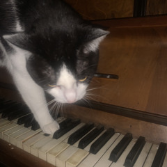ghost in the piano