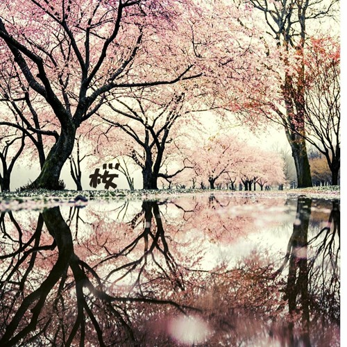 UFe - SAKURA