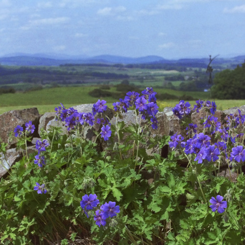 Suite for flute, clarinet and piano