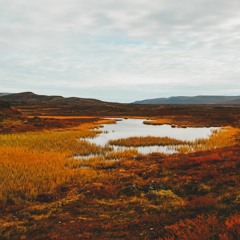 Field Journal Companion - Autumn 2021