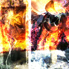 zahed ethernal - heal my hell (prod. meltycanon)