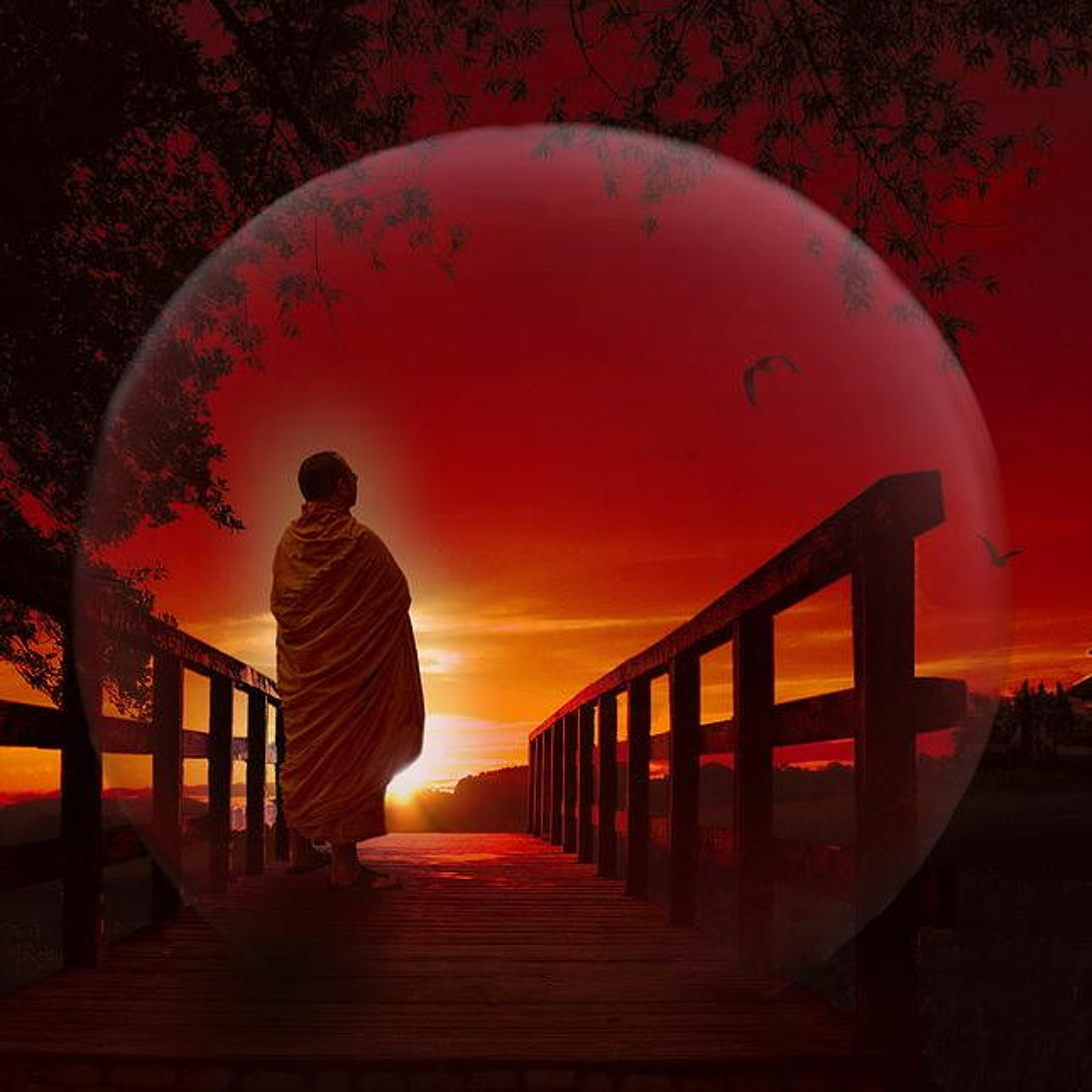 Decompression Sessions 2020 thumbnail