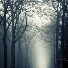 Mystic Morning (BushTech/BushProg Morning Set)