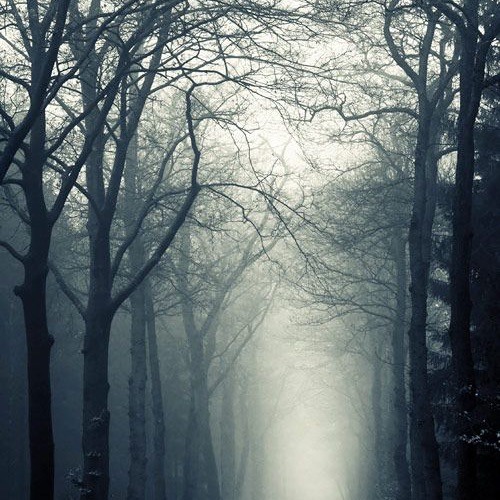 Mystic Morning (BushTech/BushProg Morning Set)