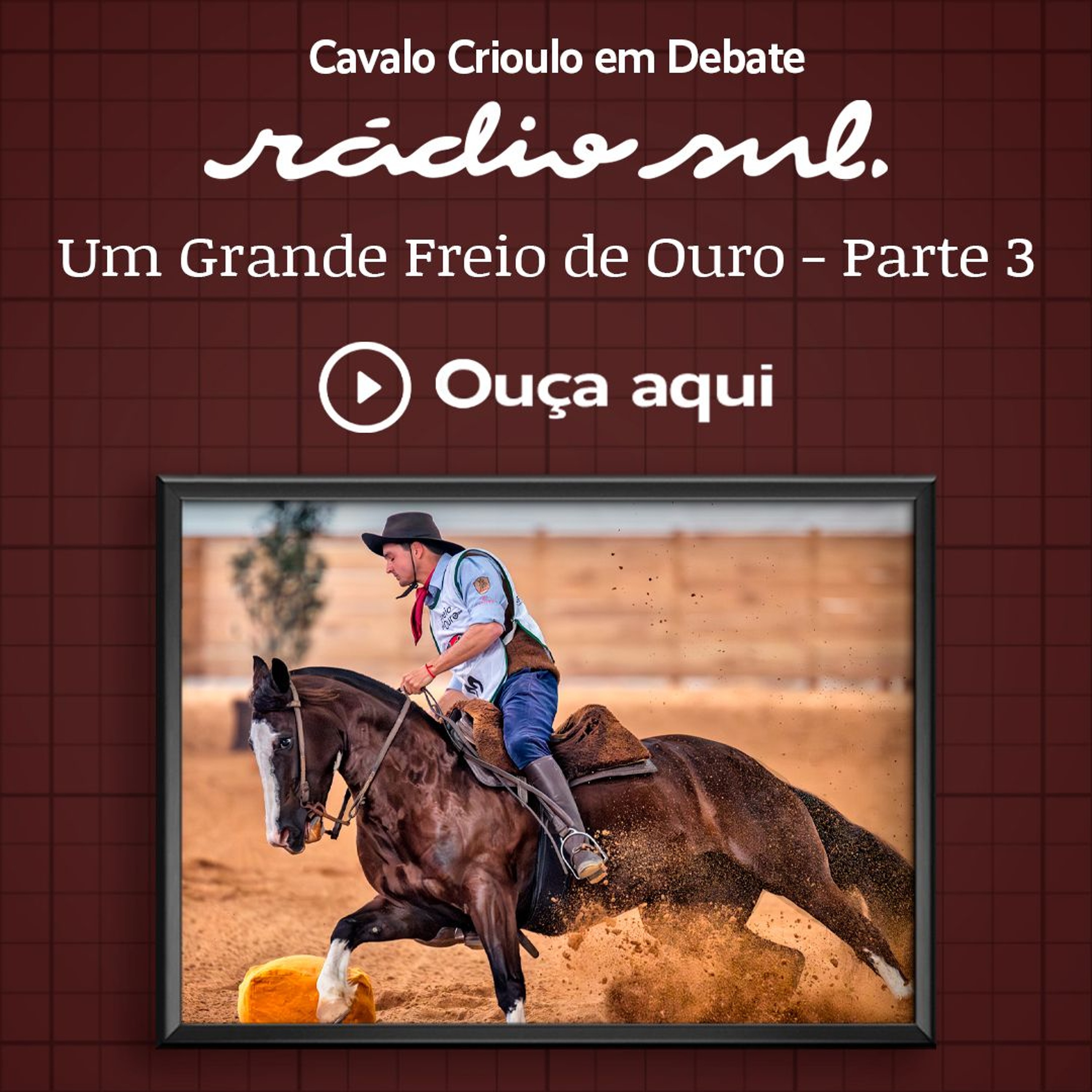 Radiosul.net