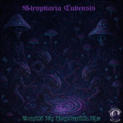 dark experimentle