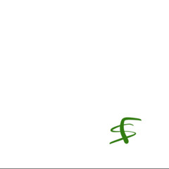 OB0550 — Spike Fern