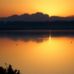 afternoon first version