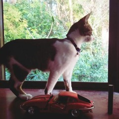 2024-03-23_16-41-39.wav