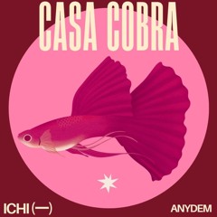 CASA COBRA @ GROOVE X / ENERO 2025 / GDL