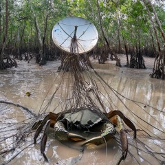 prrrr, puss* e muito cunt