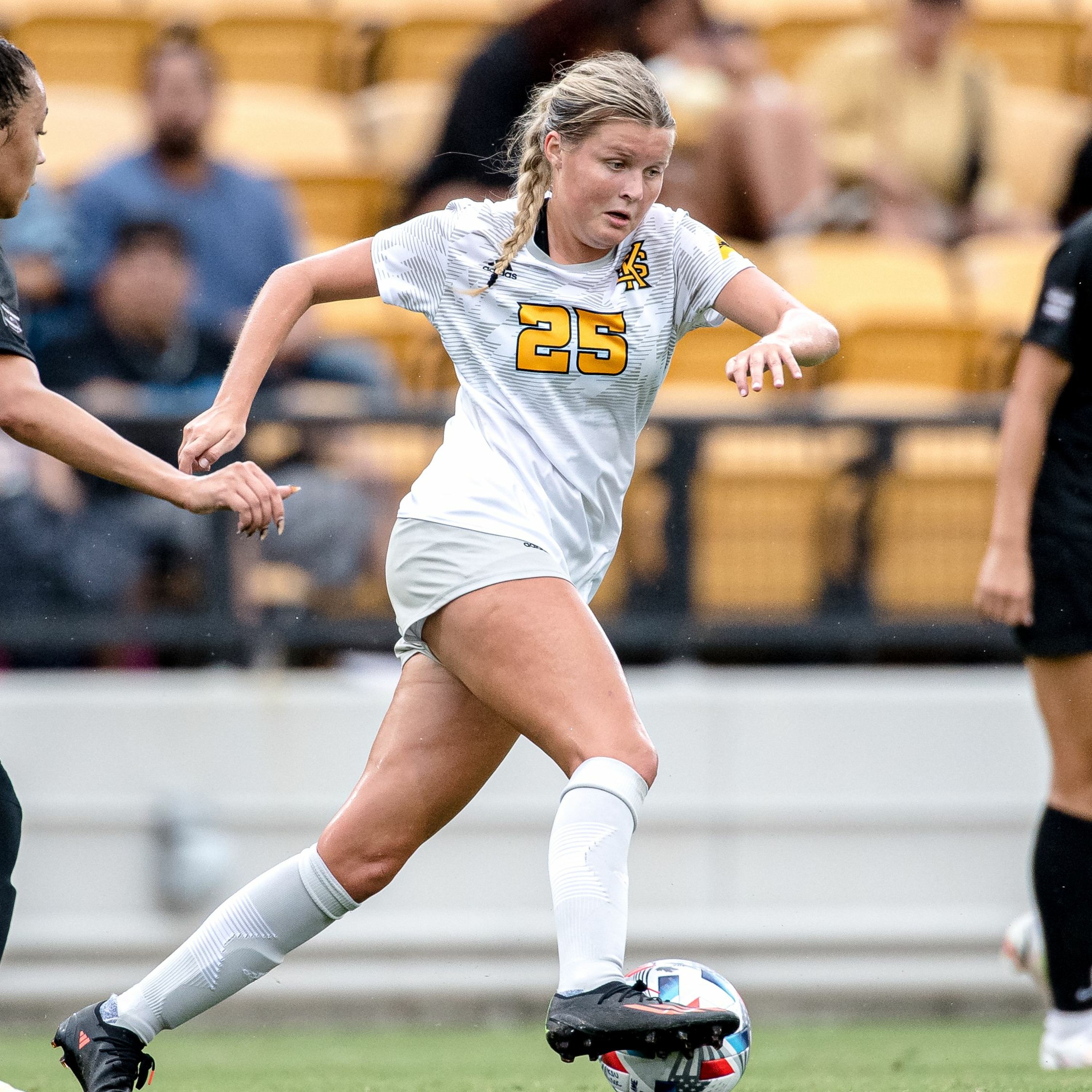 Owl Network Exclusive: Sydney Borgelt episode artwork