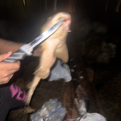Boost My High