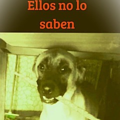 Ellos no lo Saben FULL