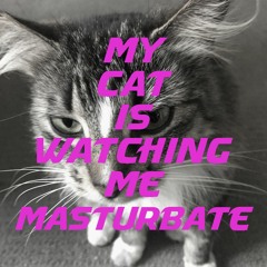 My Cat Is Watching Me Masturbate