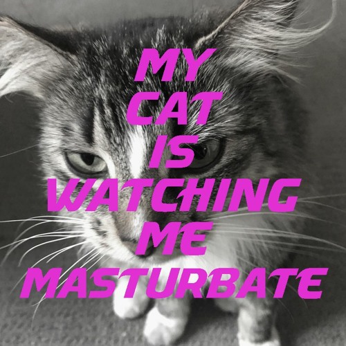 My Cat Is Watching Me Masturbate