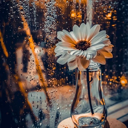 Drops Of Sadness By Martin Czerny