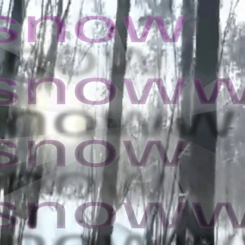 ⋆꙳·❅*‧ ‧*❆ ₊⋆