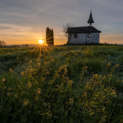 Rejoice in the Morning (w/ The David Roy Collective)
