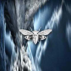 Acrobatik - Dark Matter (Fabian B. Remix)