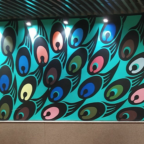 Asal Mein x Shayad x So Long x Where Are U Now sush and yohan music