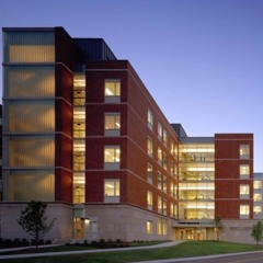 Maneater - Hall & Oates (Donny Crimson REMIX)