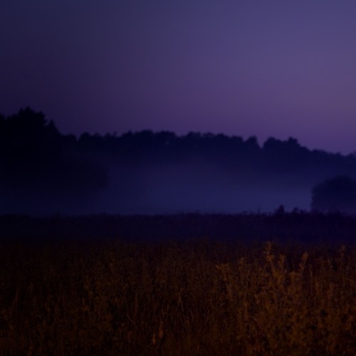 till dawn