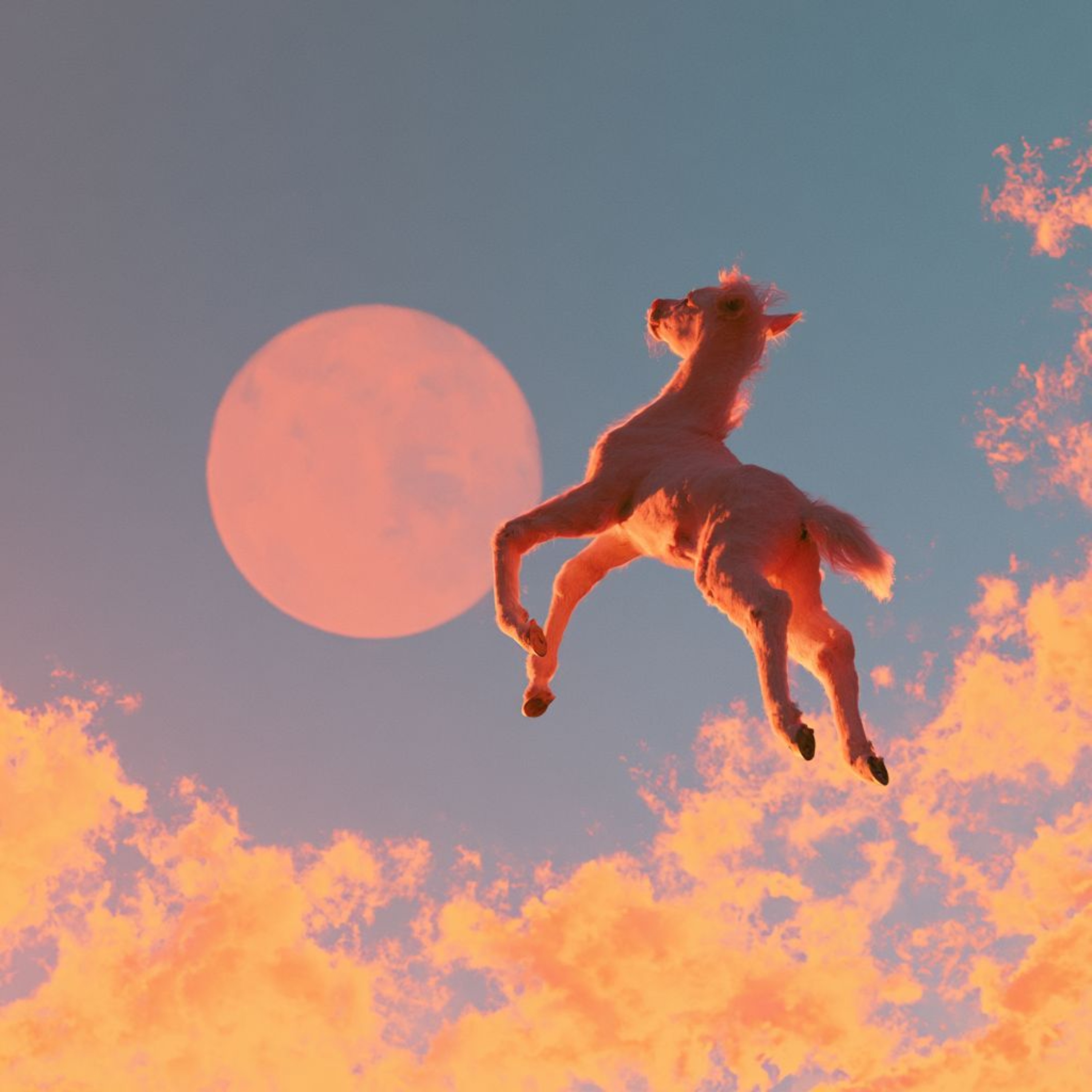 Born free episode artwork
