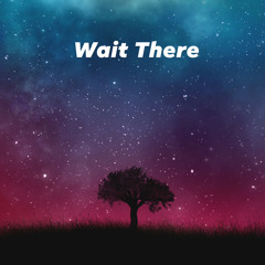 Wait There