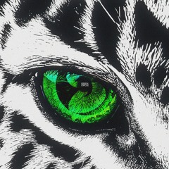 속도중독