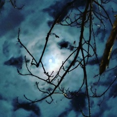 Black Solstice