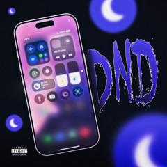 Do Not Disturb