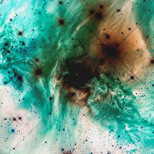 Pfirter - Obedience [PLL015]