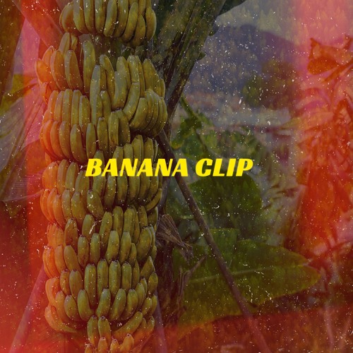 Mical Teja - Banana Clip [Raw] (Bad Summer Riddim)