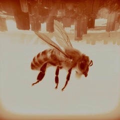 BEE STING
