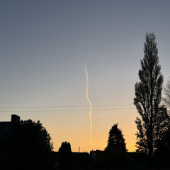 summer nights in sloterdijk