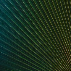 Playlist | December 2020