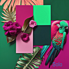 Solo
