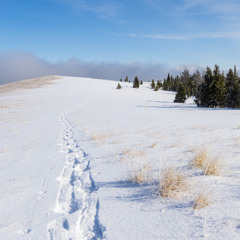 Stemple Pass Ski Area