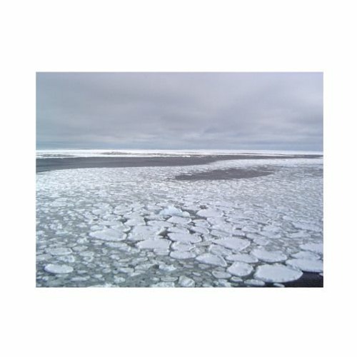 Lil Netzero ー ミ Ｆｒｏｚｅｎ  Ｓｅａ ミ