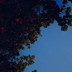 thoughtiwasgoingtodietoday