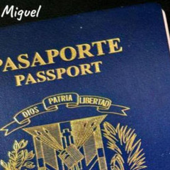 El Turista  - Raul San Miguel