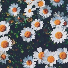 Daniel Caesar (Feat. H.E.R.) Best Part [Original Rap Ver. by Chi Ro]