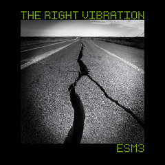The right vibration (original mix)