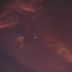 дай экспорт бля