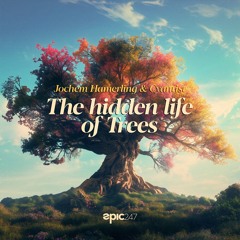 Jochem Hamerling & Cyantist - The Hidden Life Of Trees (Extended Mix)