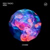 Ren' Radio #084 - Chaim DJ mix artwork - Electronic music tracklist cover image