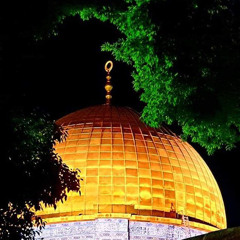 هنيئاً قد فزتم⁩ بجنان الله - أبو عمر