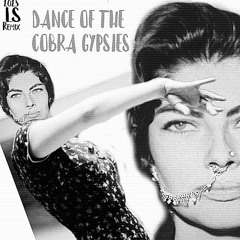 Dance Of The Cobra Gypsies feat The Windscale Blues Experiment