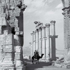 CAMEL CRUISIN LDSR/ 230